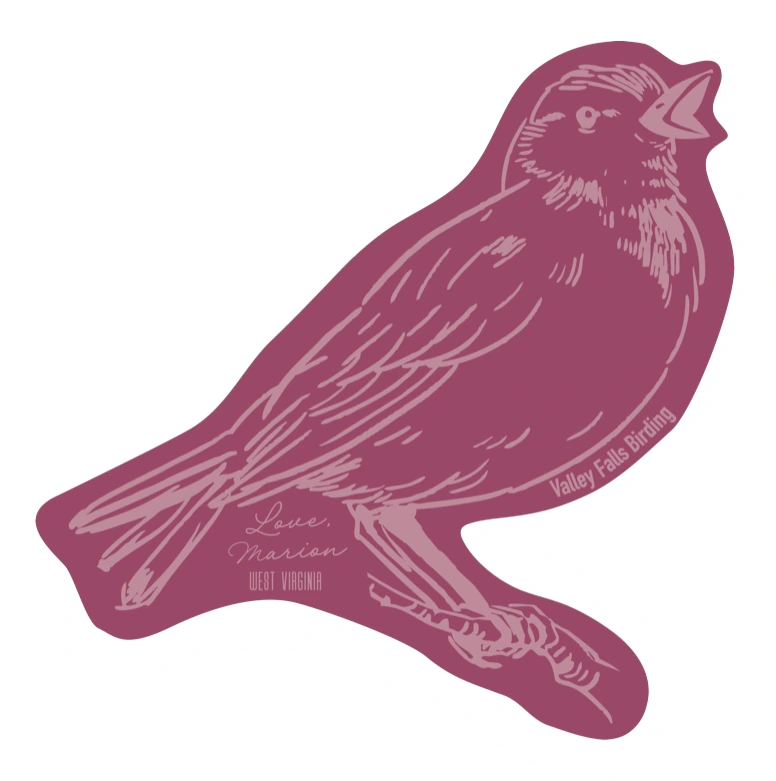 Sticker of a bird for Valley Falls Birding