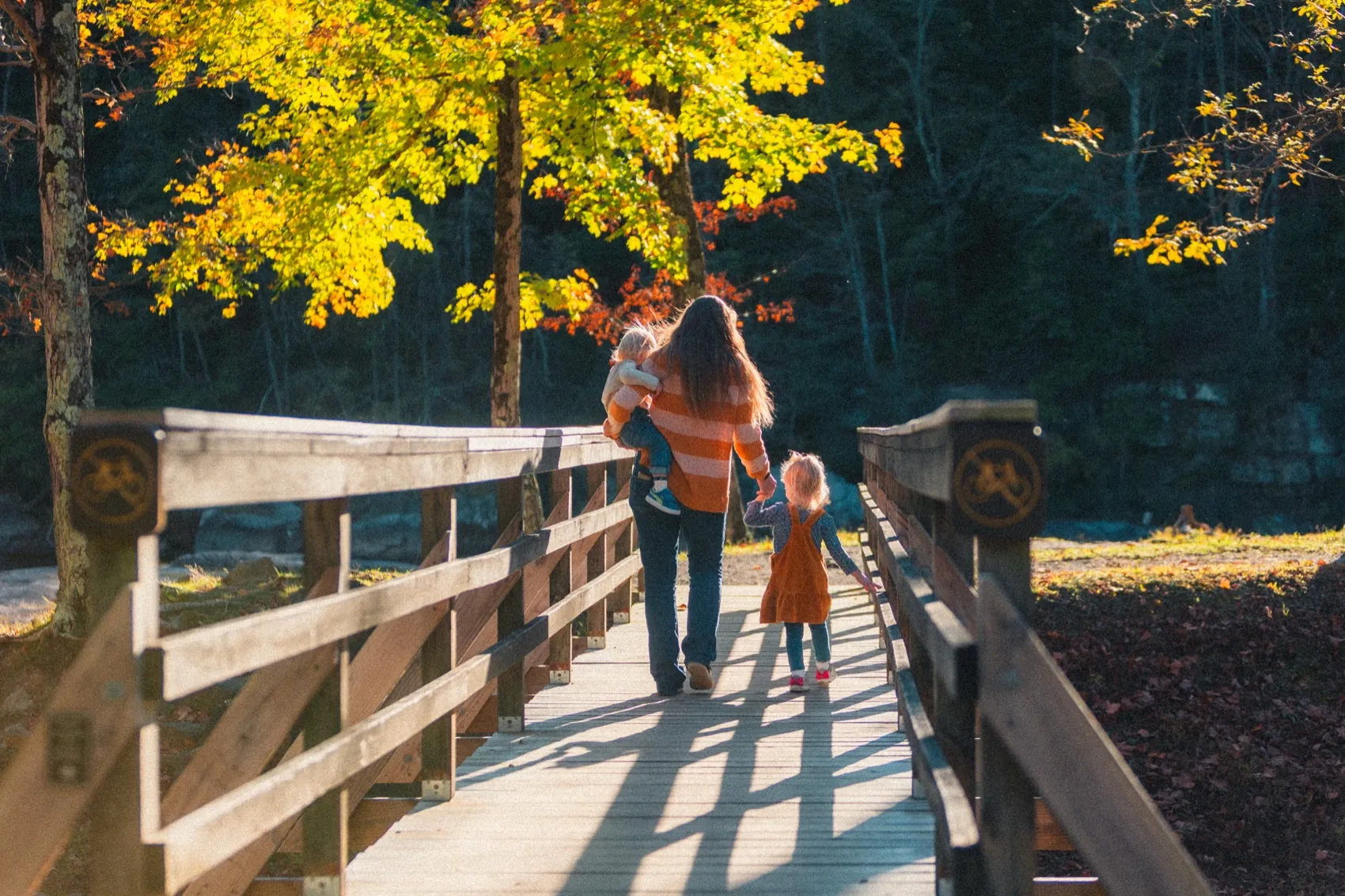 Fall Guide guide