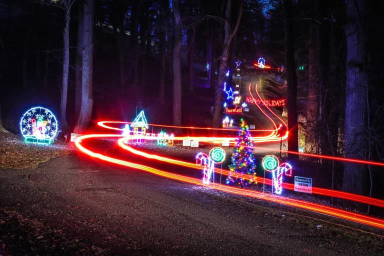 Celebration of Lights