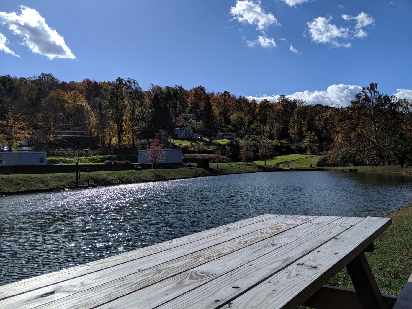 lake surrounded by trees with a wooden picnic table