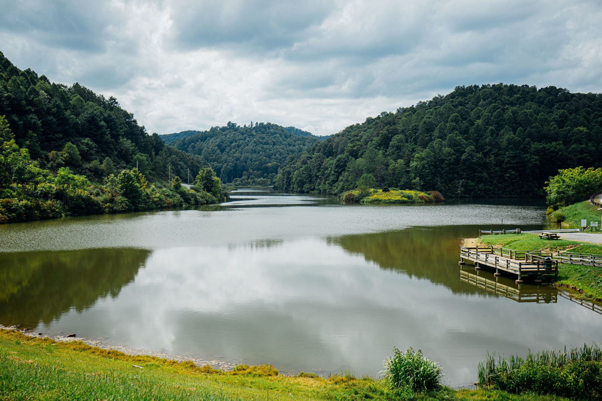 lake with fishing pier surrounded by woods