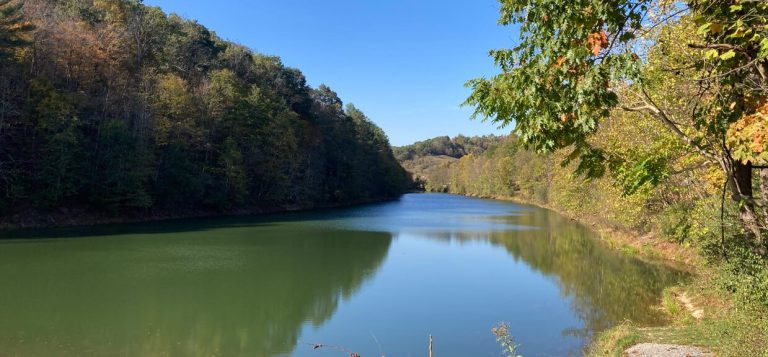 The Dents Run Wildlife Management Area