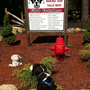 Fido’s Backyard Dog Park