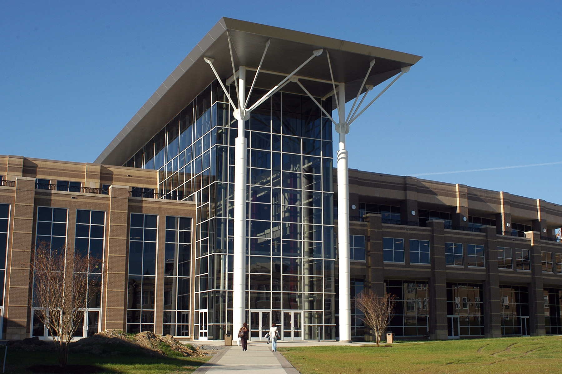 falcon-center