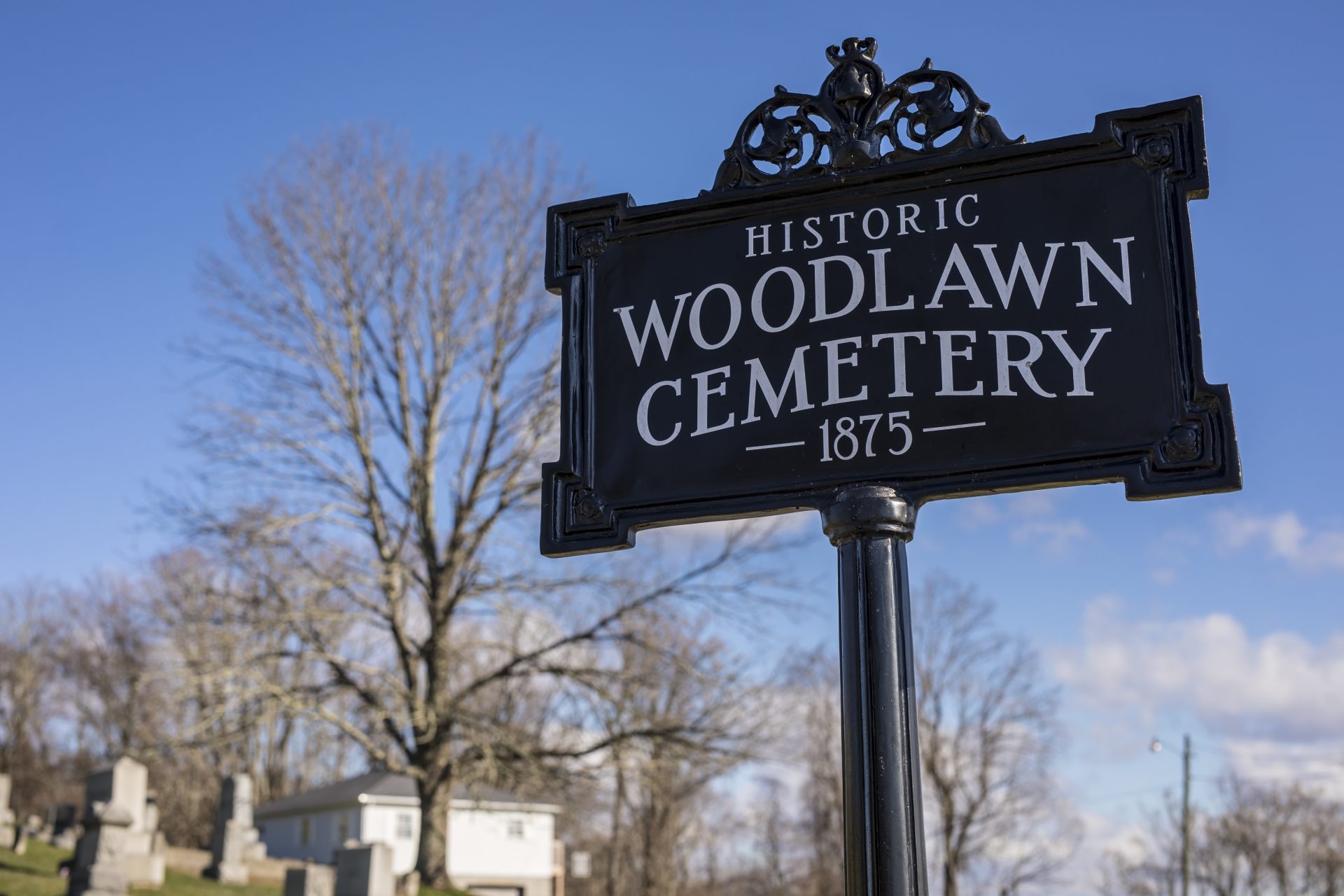 woodlawn