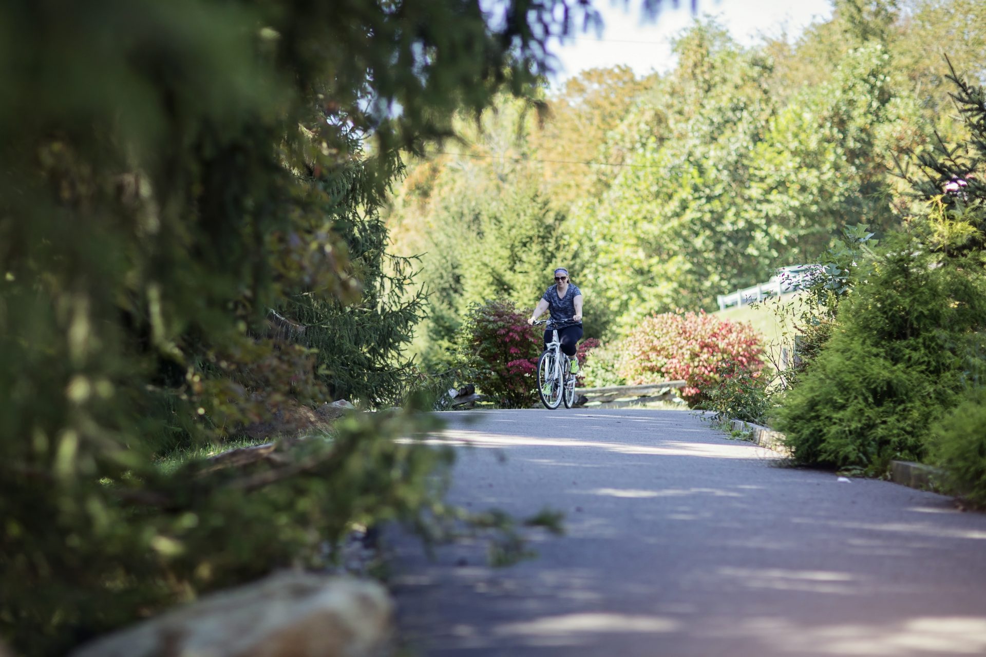 Biking_2