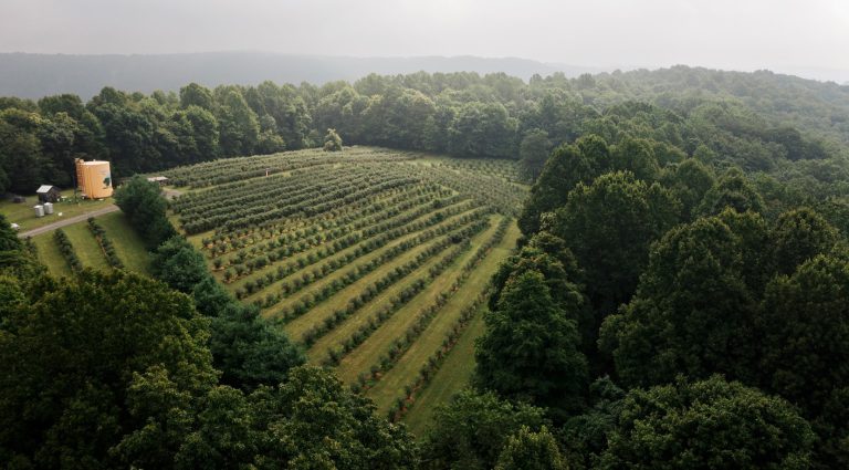 Blueberry Ridge Farm