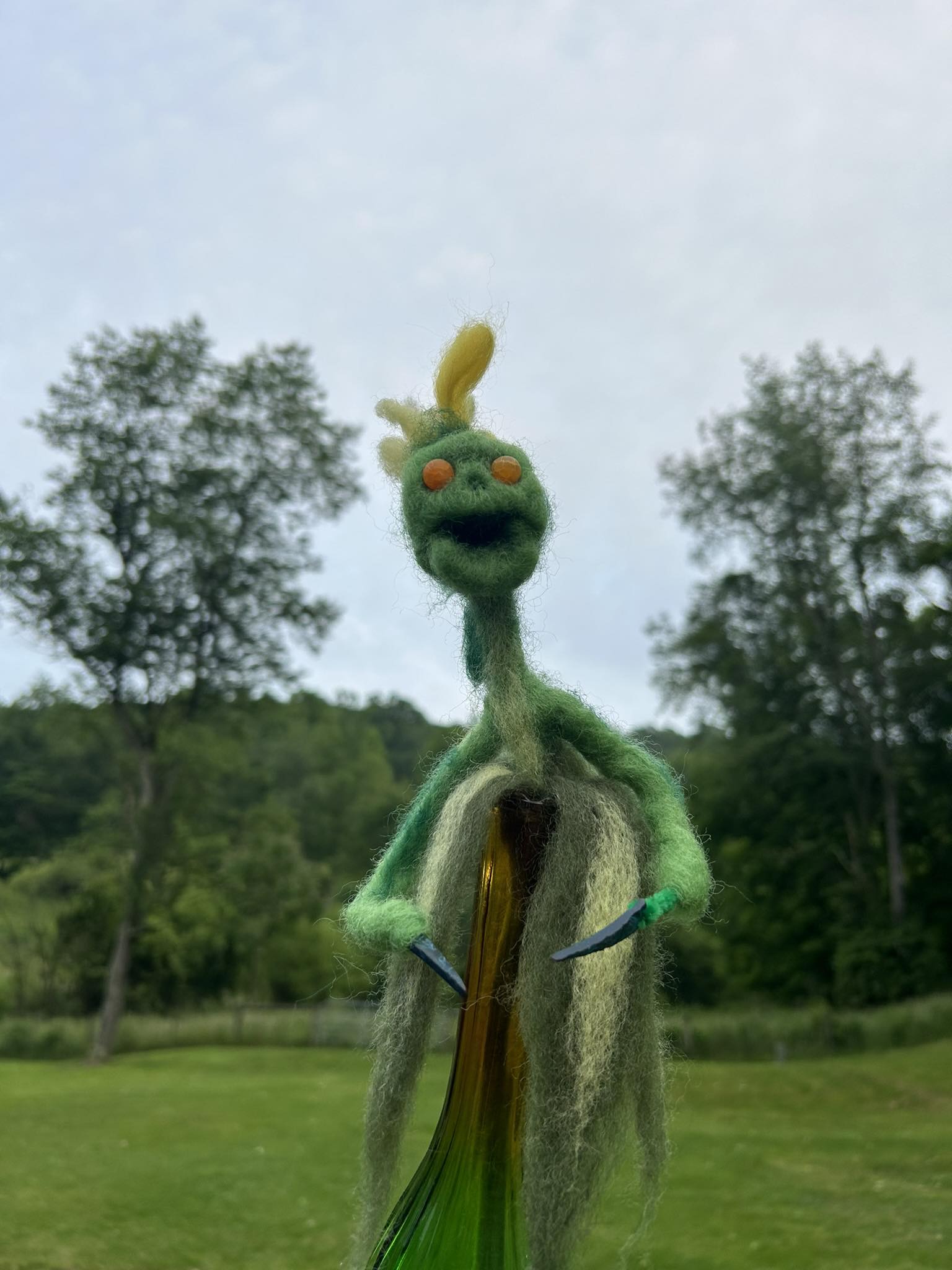 Veggie Man Makes His Third Appearance in Marion County