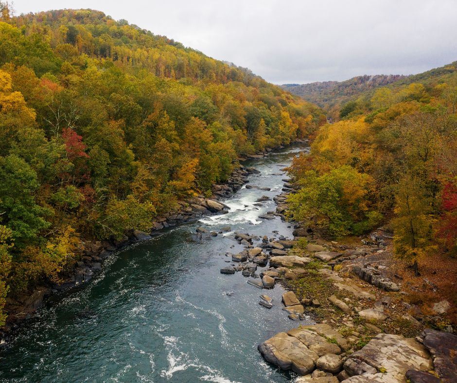 Complete Guide to Leaf Peeping in Marion County
