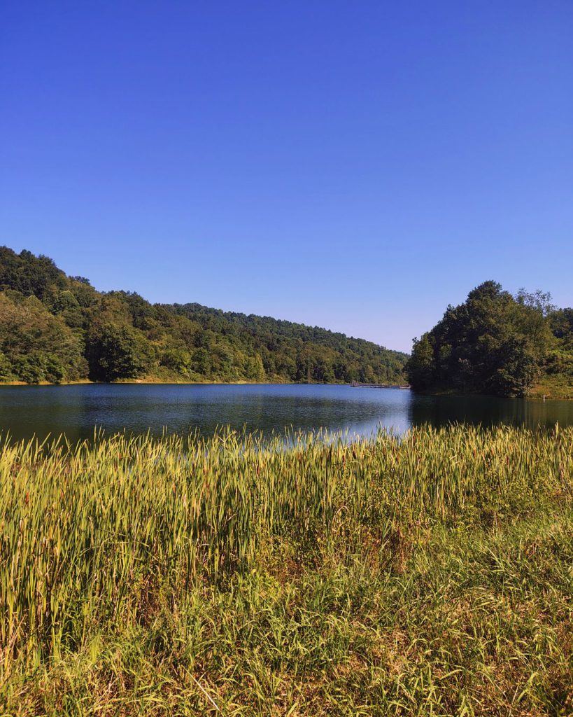Complete Guide to Dents Run Wildlife Management Area