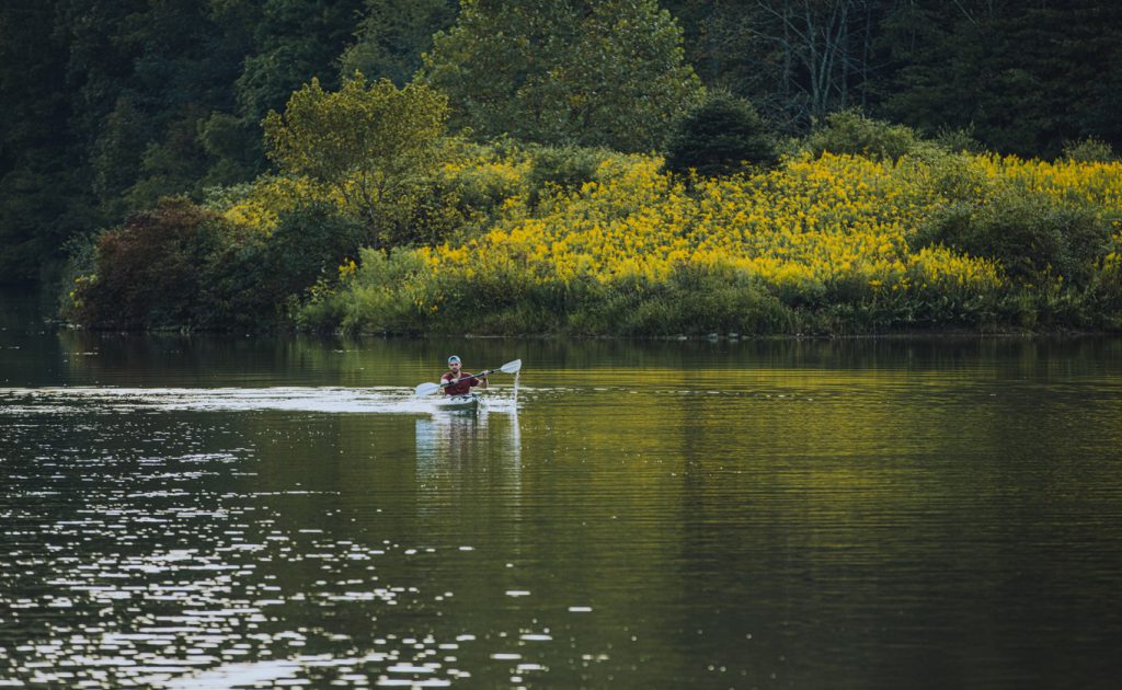 Complete Guide to Curtisville Lake
